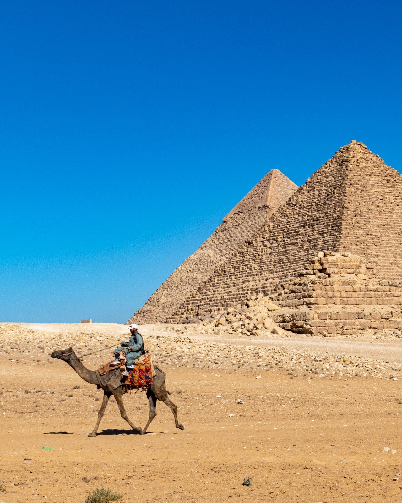 A camel rider crossing the sand in front of the pyramids, Egypt